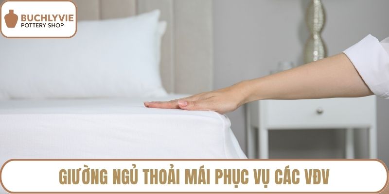 Giường ngủ thoải mái phục vụ các VĐV