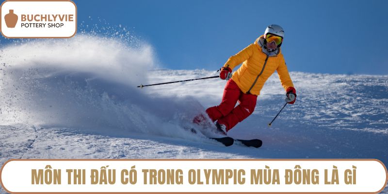 Môn thi đấu có trong olympic mùa đông là gì