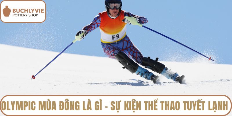 Olympic mùa đông là gì