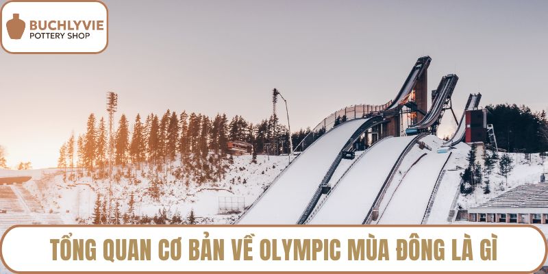 Tổng quan cơ bản về olympic mùa đông là gì
